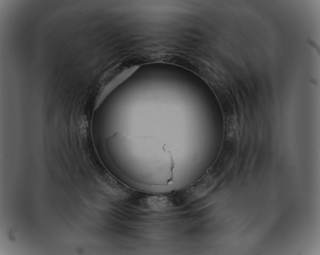 X0000091860279200709191122