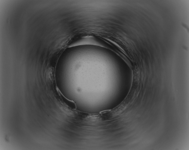 X0000091860280200709191122