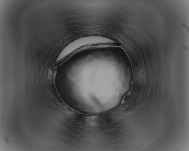 X0000091860281200709191122