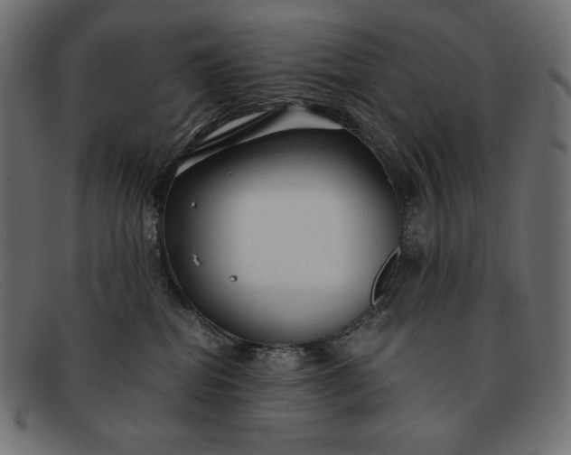 X0000091860282200709191122