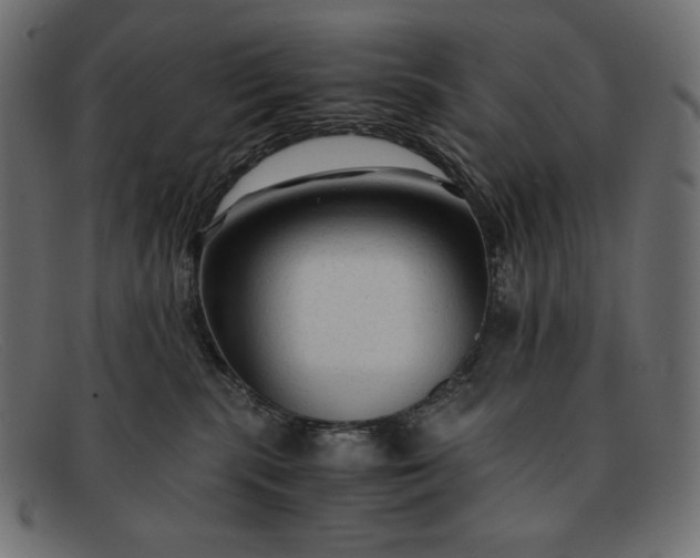 X0000091860283200709191122