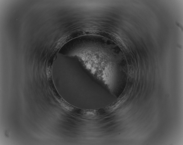 X0000091860285200709191122