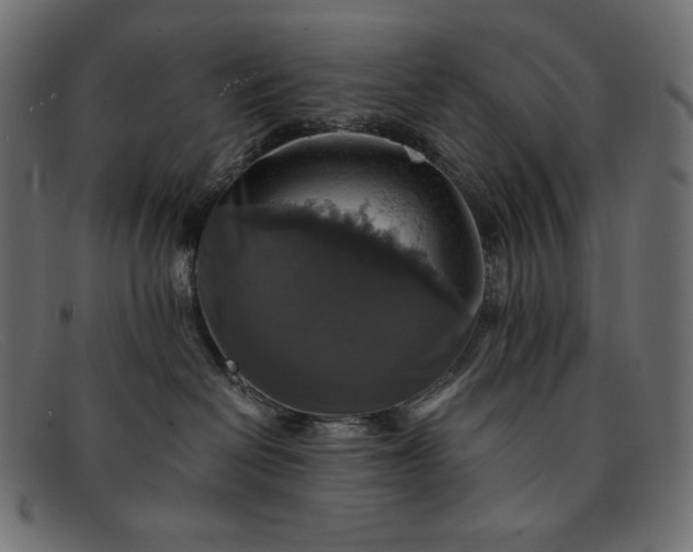 X0000091860286200709191122