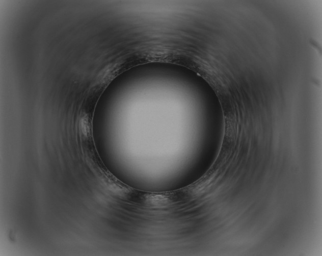 X0000091860287200709191122