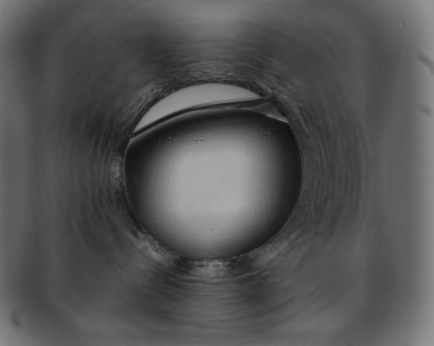 X0000091860288200709191122