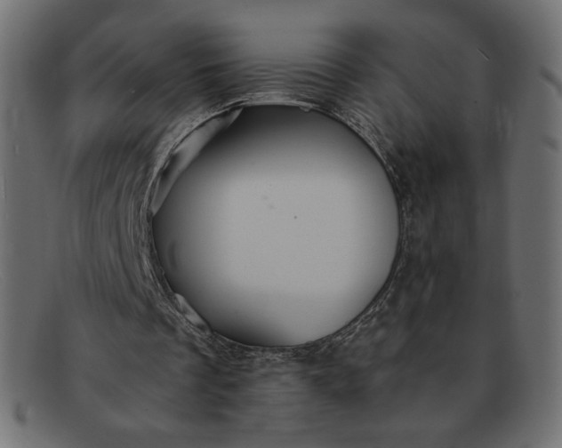 X0000091860289200709191121