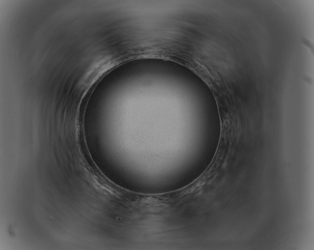 X0000091860290200709191121