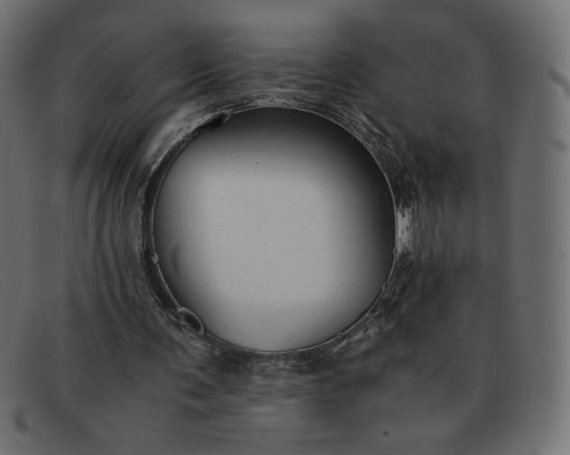 X0000091860291200709191121