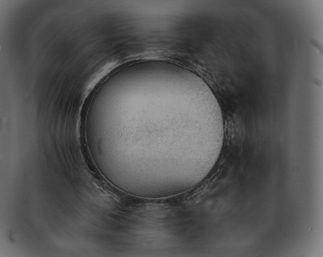 X0000091860292200709191121