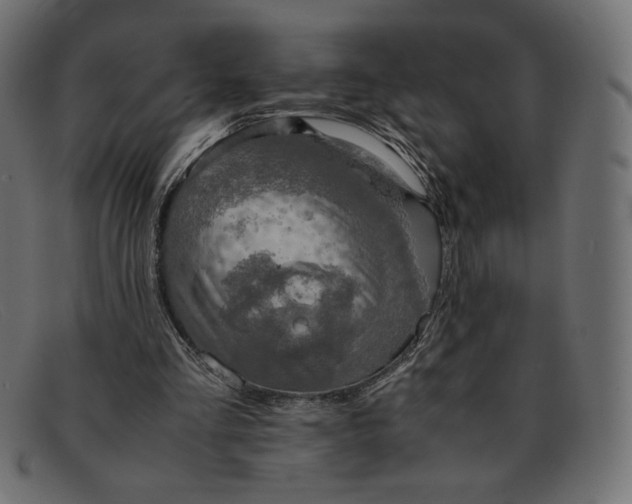 X0000091860293200709191121