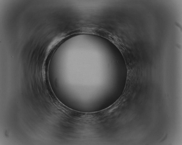 X0000091860294200709191121