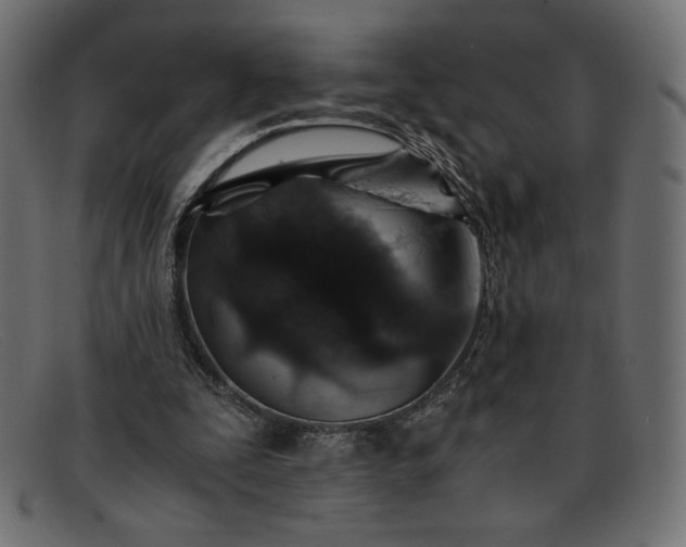 X0000091860295200709191121