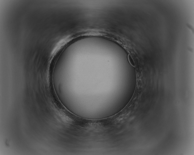 X0000091860296200709191121