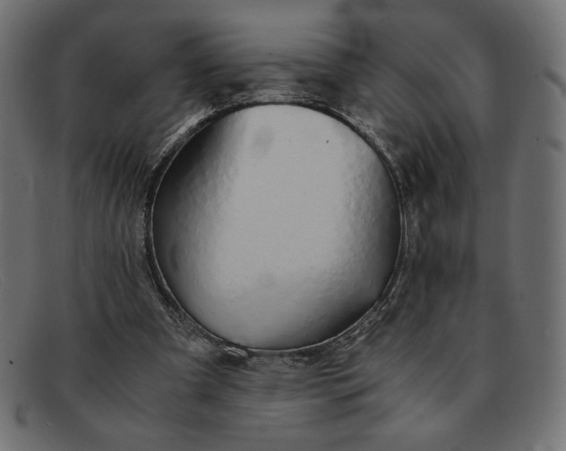 X0000091860297200709191121