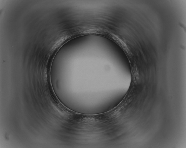 X0000091860298200709191121