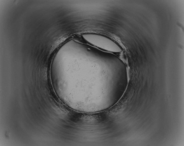 X0000091860299200709191121