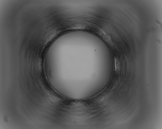 X0000091860300200709191121