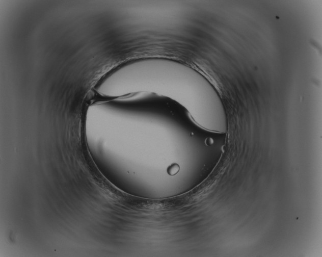 X0000091860301200709191121