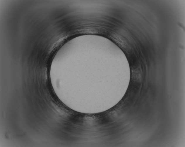 X0000091860302200709191121