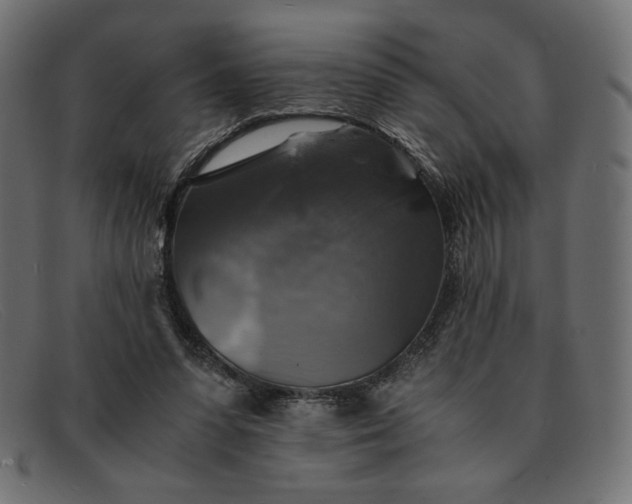 X0000091860303200709191121