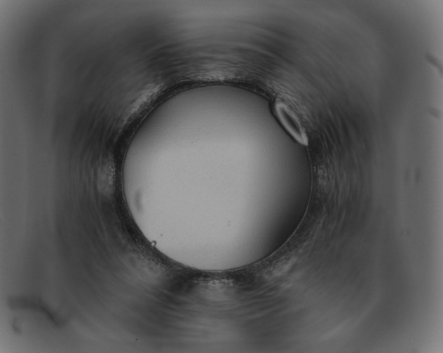 X0000091860304200709191121