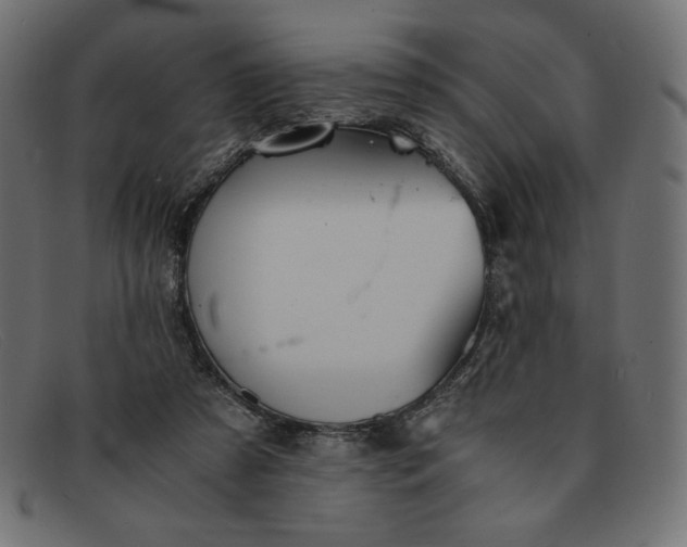 X0000091860305200709191121