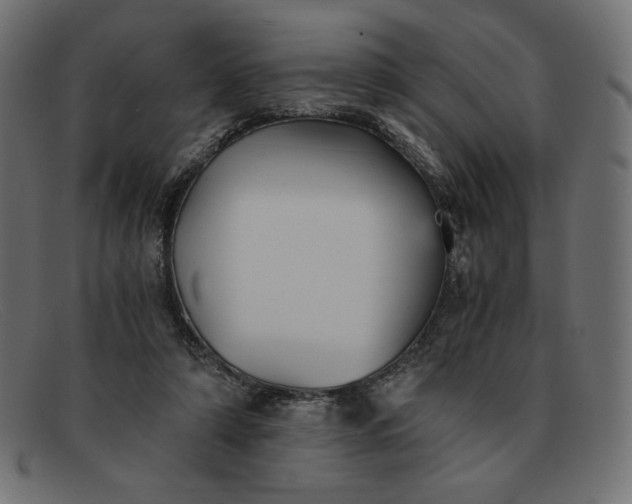 X0000091860306200709191121