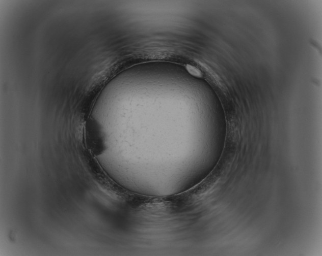 X0000091860307200709191121