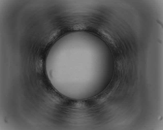 X0000091860308200709191121