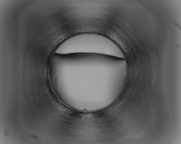 X0000091860309200709191121