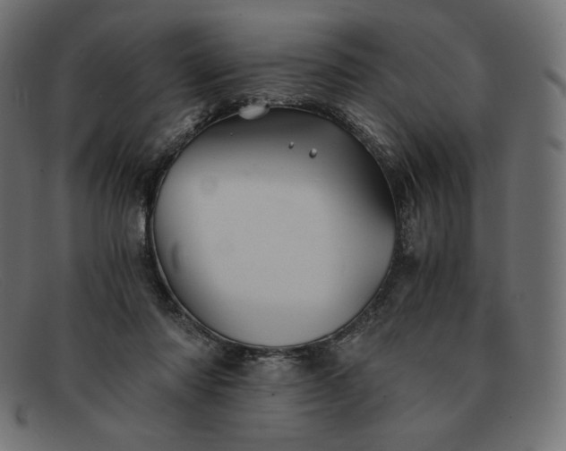 X0000091860310200709191121