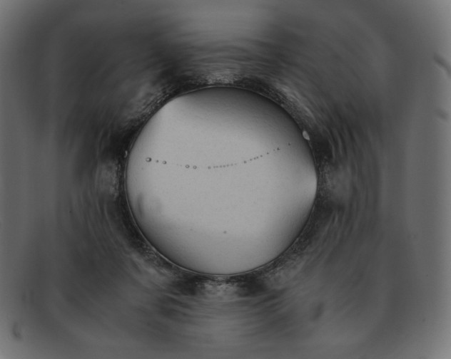 X0000091860311200709191121