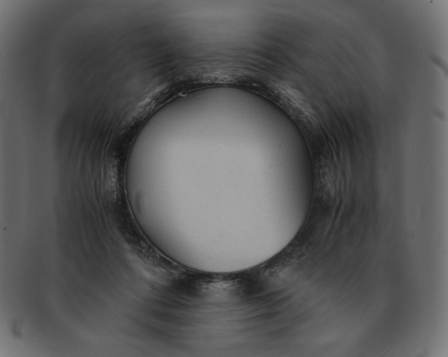 X0000091860312200709191121