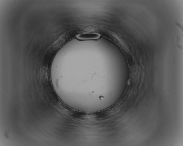 X0000091860313200709191121