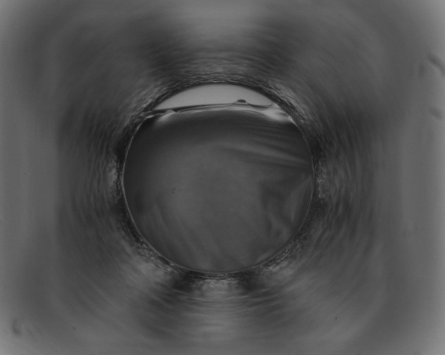 X0000091860314200709191121