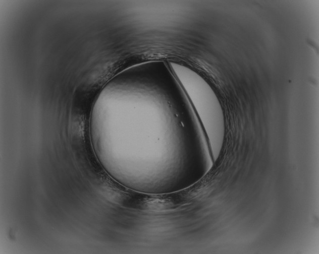 X0000091860315200709191121