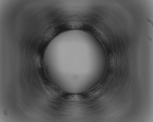 X0000091860316200709191121