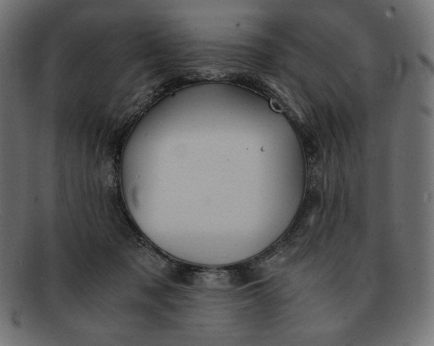 X0000091860317200709191121