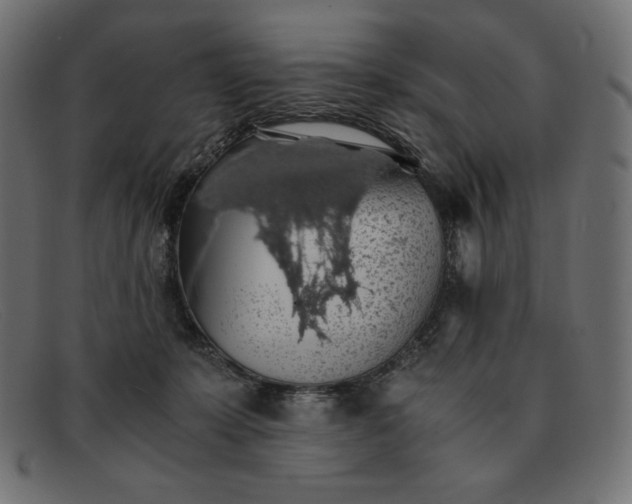 X0000091860319200709191121