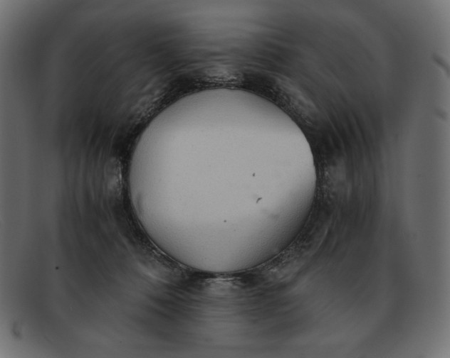 X0000091860320200709191121