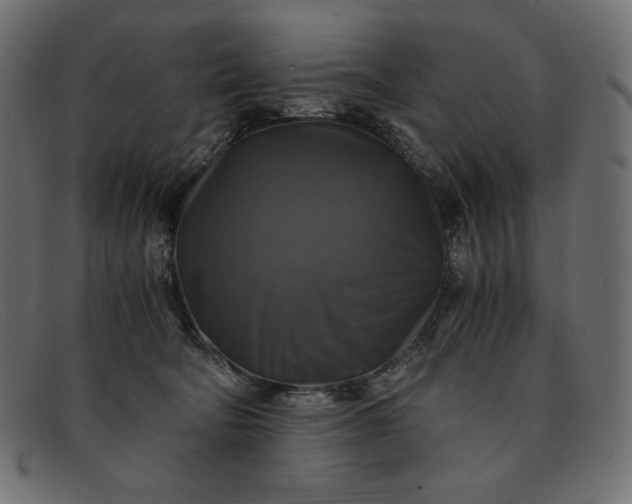 X0000091860322200709191121