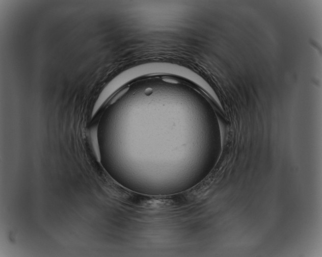 X0000091860323200709191121