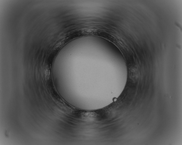 X0000091860324200709191121