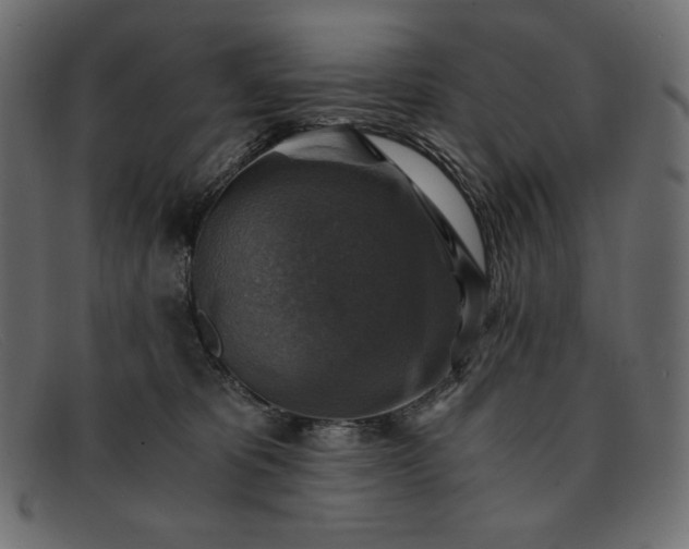 X0000091860325200709191121