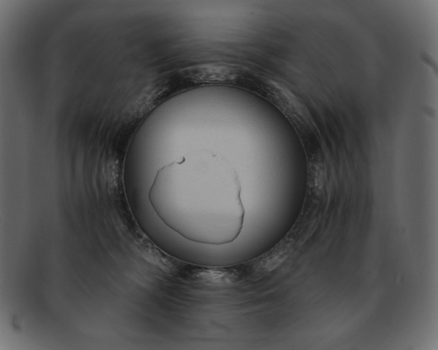 X0000091860326200709191121