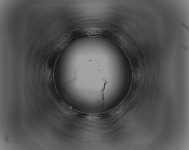 X0000091860327200709191121