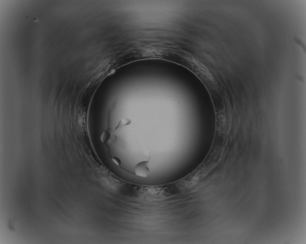 X0000091860329200709191121