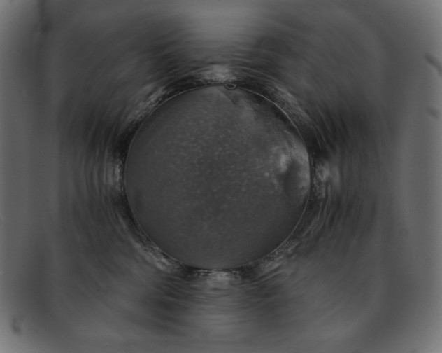 X0000091860330200709191121