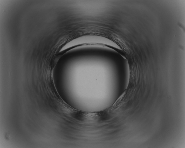 X0000091860333200709191121