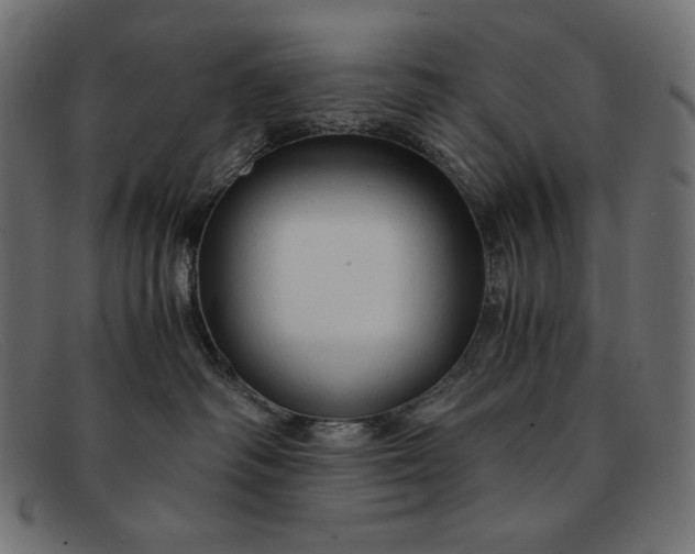 X0000091860334200709191121